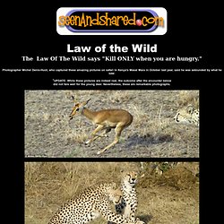Law Of The Wild