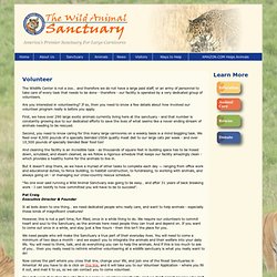 WildAnimalSanctuary.org : America's Premier Sanctuary For Large Carnivores