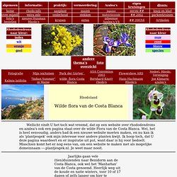 De wilde flora van de Costa Blanca