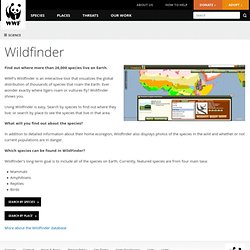 Wildfinder