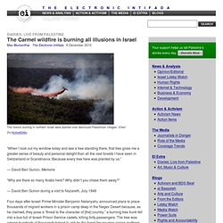 ei: The Carmel wildfire is burning all illusions in Israel