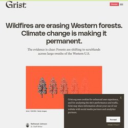 29 nov. 2021 Wildfires are erasing Western forests. Climate change is making it permanent.