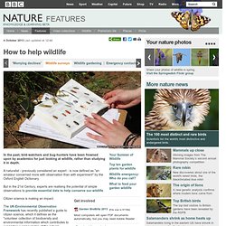 BBC Nature - How to do a wildlife survey and be a citizen scientist