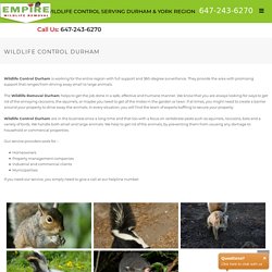 Wildlife control Durham