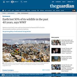 Earth lost 50% of its wildlife in the past 40 years, says WWF