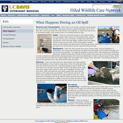 UC Davis School of Vet Med: Oiled Wildlife Care Network: What Happens During an Oil Spill