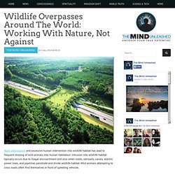 Wildlife Overpasses Around The World: Working With Nature, Not Against