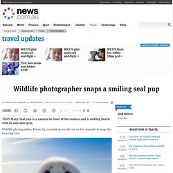 Wildlife photographer snaps a smiling seal pup