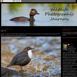 Wildlife Photographic Journals