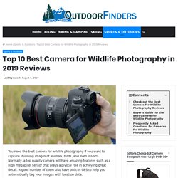 Top 10 Best Camera for Wildlife Photography in 2019 Reviews - Outdoor Finders