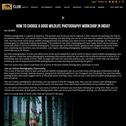 How to choose a good wildlife photography workshop in India?