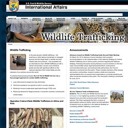 Fish & Wildlife Service - International Affairs