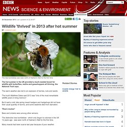 Wildlife 'thrived' in 2013 after hot summer