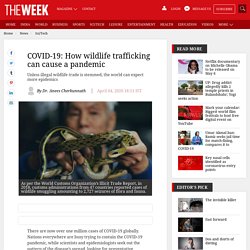 COVID-19: How wildlife trafficking can cause a pandemic
