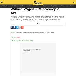 Willard Wigen - Microscopic Art