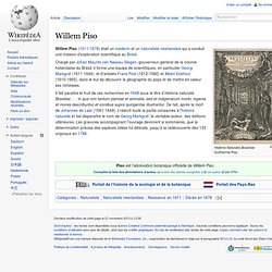Willem Piso