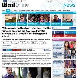 Prince William's war on rhino butchers as he enters the fray for beleaguered ...
