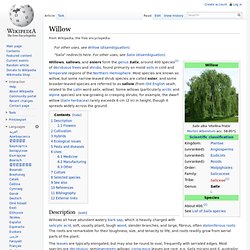 Willow - Wikipedia, the free encyclopedia - (Build 2010040106463