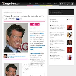 Pierce Brosnan issues license to save the whales