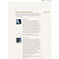 Wines of France - Black grape varieties