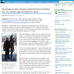 Winnebago system sturgeon spearing license deadline Oct. 31; harvest caps increased for 2016 - Weekly News
