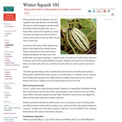 Guide to Winter Squash