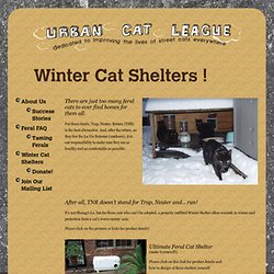 Winter Cat Shelters for Feral Cats - UrbanCatLeague