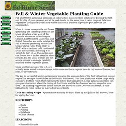 Fall and Winter Vegetable Planting Guide