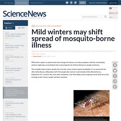 Mild Winters May Shift Spread Of Mosquito-borne Illness