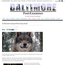 Baltimore Post-ExaminerBaltimore Post-Examiner