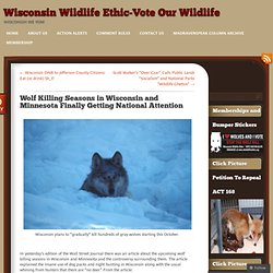 Wolf Killing Seasons in Wisconsin and Minnesota Finally Getting National Attention