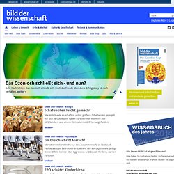 Bild der Wissenschaft