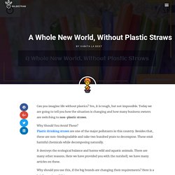 A Whole New World, Without Plastic Straws - Wilbistraw compostable straws