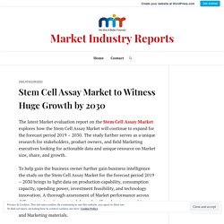 Stem Cell Assay Market to Witness Huge Growth by 2030 – Market Industry Reports
