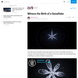 Witness the Birth of a Snowflake