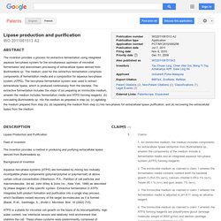 Patent WO2011081513A2 - Lipase production and purification - Google Patents