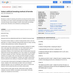 Patente WO2013005882A1 - Indoor artificial breeding method of termite - Google Patentes