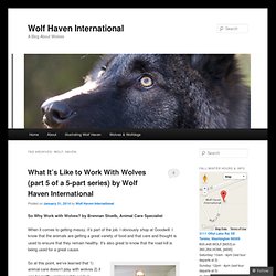 Wolf Haven International
