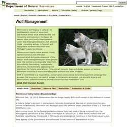 Wolf Management: Minnesota DNR