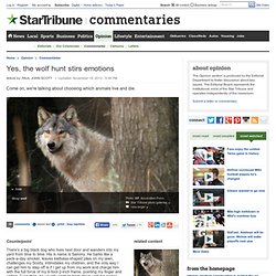 Yes, the wolf hunt stirs emotions