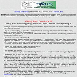 Wolfdog FAQ #28, What do I need to know before getting a wolfdog puppy?