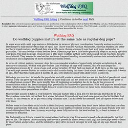 Wolfdog FAQ, Do wolfdog puppies mature at the same rate as regular dog pups?
