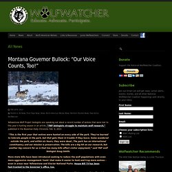 National WolfWatcher Coalition