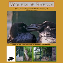 Wolves and Ravens