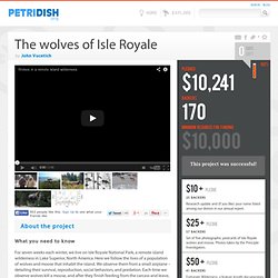 The wolves of Isle Royale - Petridish