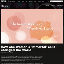 How one woman's 'immortal' cells changed the world - BBC Reel