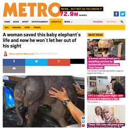 Woman saves baby elephant's life and now he won't let her out of his sight