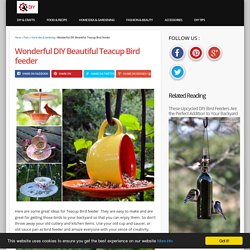 Wonderful DIY Beautiful Teacup Bird feeder