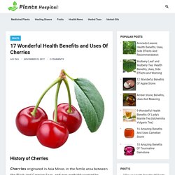 17 Wonderful Health Benefits and Uses Of Cherries