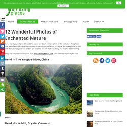 12 Wonderful Photos of Enchanted Nature